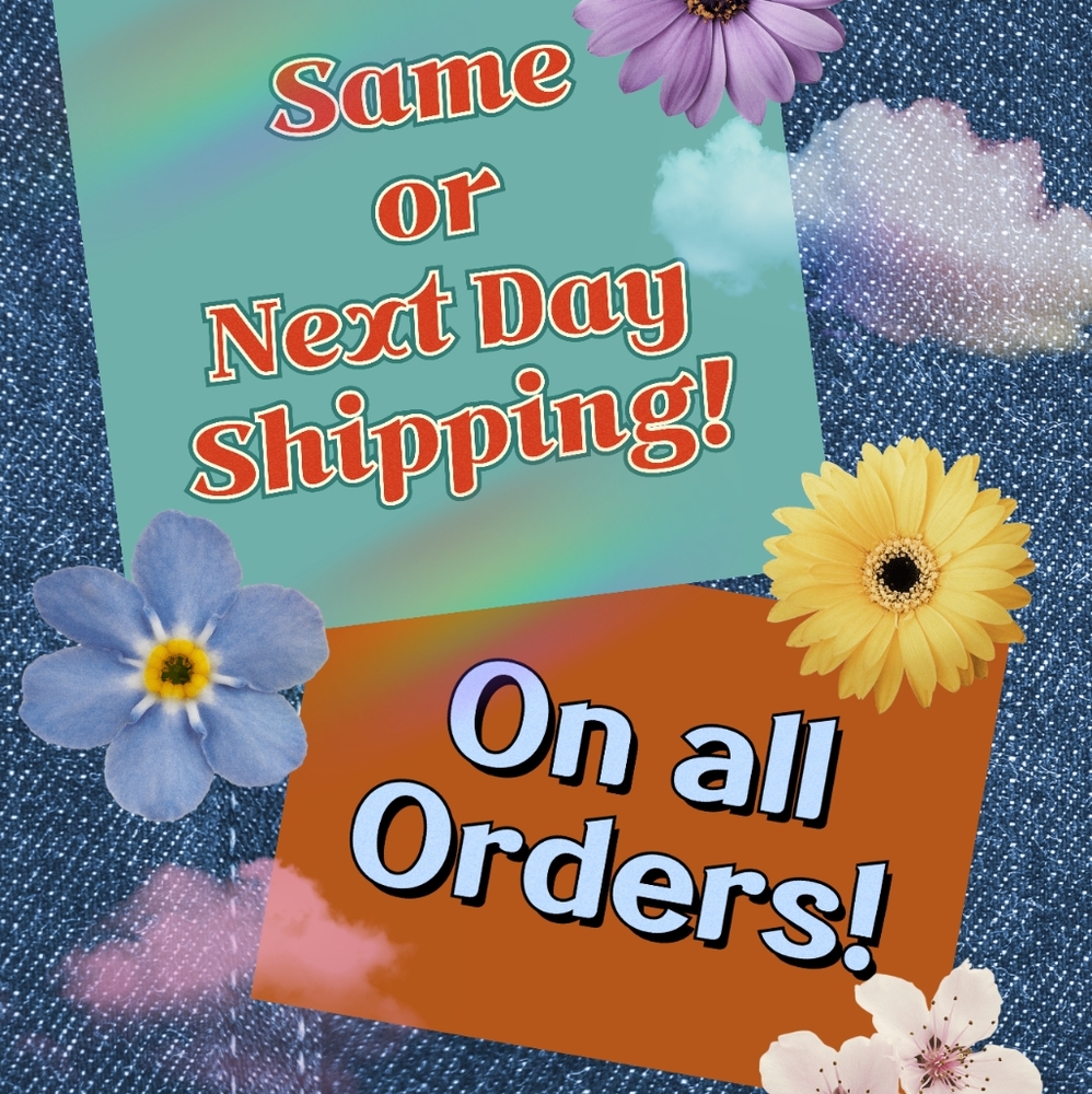 ✨️Same Or Next Day Shipping Always!✨️